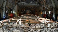 Нидерландия отпуска 250 милиона евро за военна помощ за Украйна