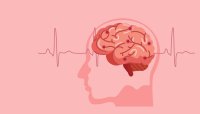 Инсулт при млади и средна възраст: 5 симптома, които не бива да пренебрегвате