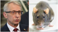 Мишката Денков изстиска снощи мокрия си памперс върху националната сигурност на България