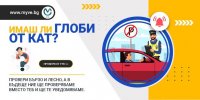 Експресна проверка за глоби от КАТ