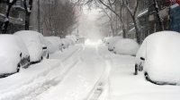 30 души загинаха при силните снеговалежи в Япония
