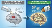 Скритата опасност за мозъка: Защо стандартните витамини често не работят