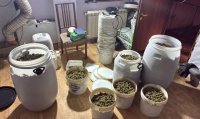 Специализирана акция разкри професионална нарколаборатория край София (СНИМКИ)