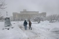 Бурите оставиха хиляди без ток в Румъния: Паднали стълбове и блокирани пътища