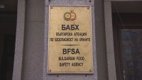 Откриха опасни вещества в тонове слънчоглед, внос от Аржентина