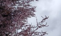 Вижте какво ще е времето днес