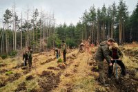 Доброволци възстановяват опожарените гори в Пирин