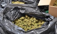 Близо 300 кг марихуана бе задържана на границата с Турция