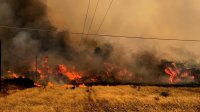 Над 50 пожара за уикенд в Гърция, властите ускоряват мерките срещу огнената стихия