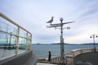 Екипажът на ферибота &bdquo;Дружба&ldquo; гласува в открито море при 100% активност