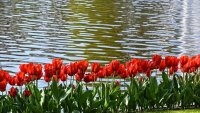 Вижте какво време ни очаква през следващата седмица