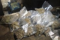 Български шофьор беше арестуван в Гърция с 500 кг канабис