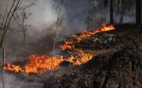 Огромен пожар избухна в забранената зона на Чернобил след инцидент с дрон