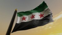 Сирийското правителство потвърди ареста на германска журналистка
