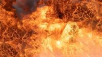 Огнена стихия край Маями обхвана горски територии