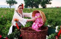 Занаяти, вино и музика: Празникът на розата в Казанлък продължава с богата програма