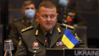ДРАМИ В КИЕВ: Депутат на Зеленски поиска оставката на главнокомандващия въоръжените сили на Украйна