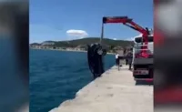 На косъм от трагедия: Българска кола падна в морето на пристанище край Кавала (ВИДЕО)