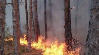 С високите температури започва и сезонът на пожарите