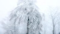Сняг посред лято изненада Румъния (СНИМКИ)