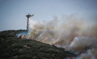 Пламъци обхванаха района на Солун, жители бяха евакуирани (ВИДЕО)