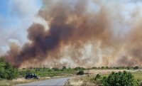 Пожар избухна край Хасково, огънят обхвана близо 100 декара гора