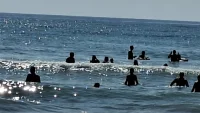 Опасната бактерия &bdquo;човекоядец&ldquo; се среща в Черно море: Как да се предпазим от Вибрио вълнификус