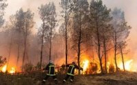 Франция арестува над 400 души след серията от горски пожари
