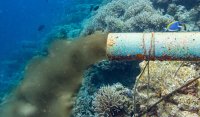 Шок на плажа на Свети Влас: Фекални води се изляха в морето (СНИМКИ)