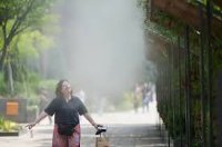 Рекордни жеги в Южна Корея: Температурите достигнаха исторически връх