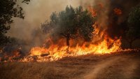 Четвърти ден Гърция се бори с огнената стихия край Атина, пожарът унищожи хиляди декари