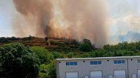 Пожар избухна в района на Асеновград, &bdquo;Кугър&ldquo; се включи в гасенето край Враца (ВИДЕО)