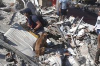 (ВИДЕА) Вижте кадри от ужасяващото земетресение в Колумбия, броят на загиналите расте