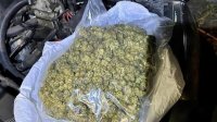 Хванаха близо 300 кг марихуана на българо-турската граница