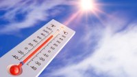 Летните горещини са отнели живота на близо 3000 души в Белгия