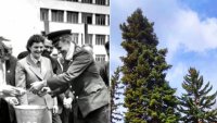Отрязаха бора, засаден от Юрий Гагарин в 138 училище през 1961 г.