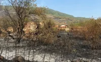Потушен е огънят във всички участъци на пожара край село Димовци