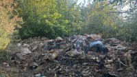 Клали коне в нелегална кланица край Сливен: 200 кг месо и животински отпадъци открити край река
