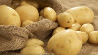 БАБХ започва извънредни проверки на картофите в големите търговски вериги