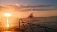 Търговски кораб, плаващ под флага на Панама, се удари в мина в Черно море