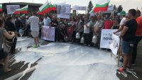 Животновъдите готвят протести: Положението в сектора е страшно, губим ферми с часове