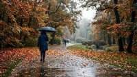 Облачно и дъждовно в събота: Валежи в Западна и Централна България, сняг по високите планини