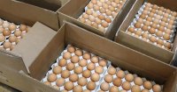 ИЗМАМА! Продават ни украински яйца и месо като румънска стока